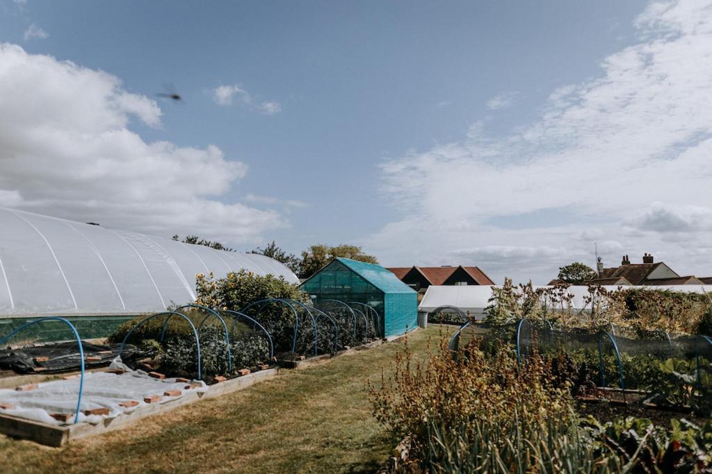 The Ferry House Bed and Breakfast Eastchurch Eksteriør billede
